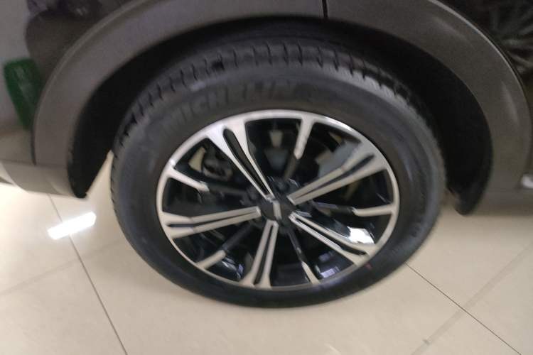 Used Wey VV6 2021 2.0T Two-Wheel Drive Smart Protection+