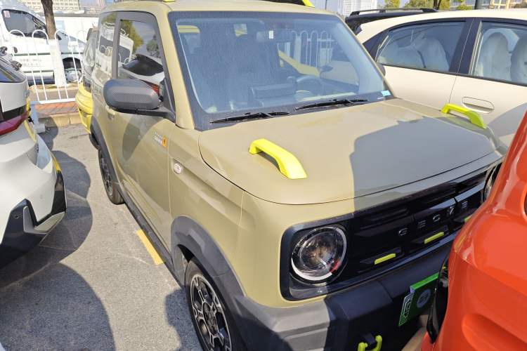 Used  Panda 2024 200km Panda Rider