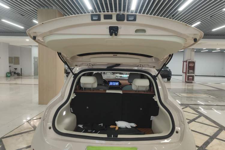 Used ORA Good Cat 2023 401 km Standard Range Luxury Version Ternary Lithium
