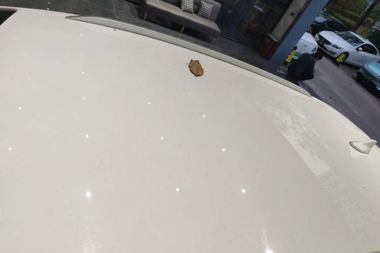 Used BYD e2 2020 Upgraded Version Long-Range Edition Luxury Model