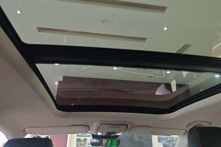 Used Hongqi HS7 PHEV 
