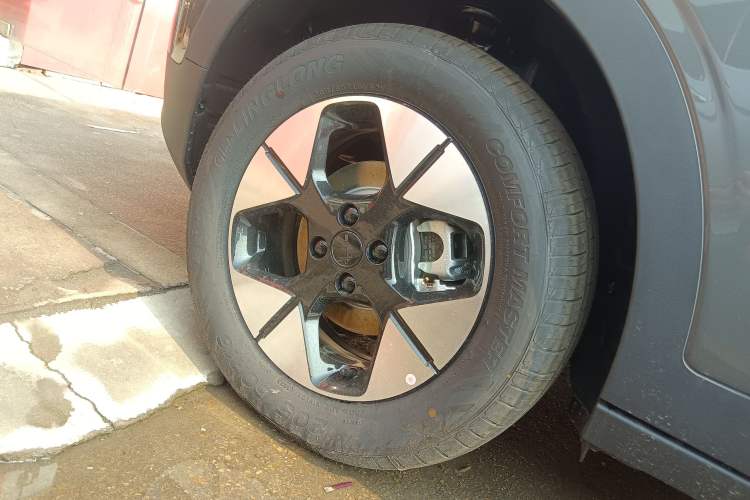 Used  Geome 2025 310km Dream Edition