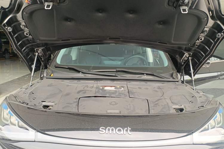 Used  #1 2023 Pro Edition
