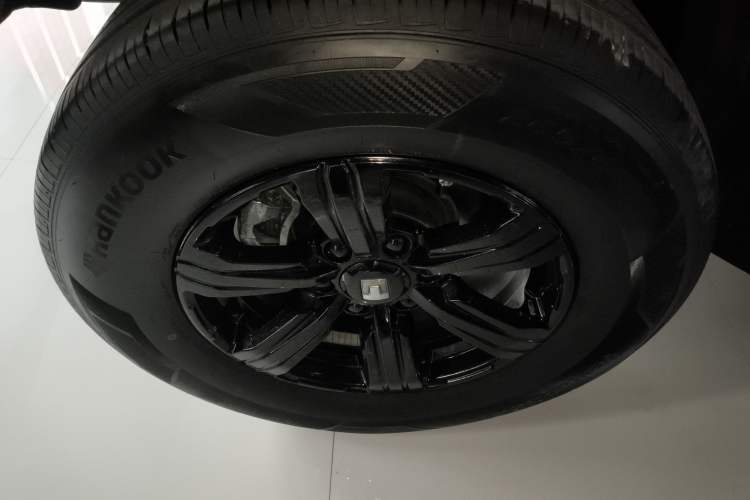 Used Tank 300 2024 2.0T Conqueror