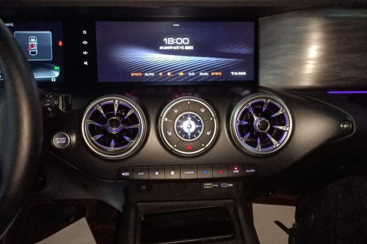 Used Tank 300 2024 2.0T Conqueror