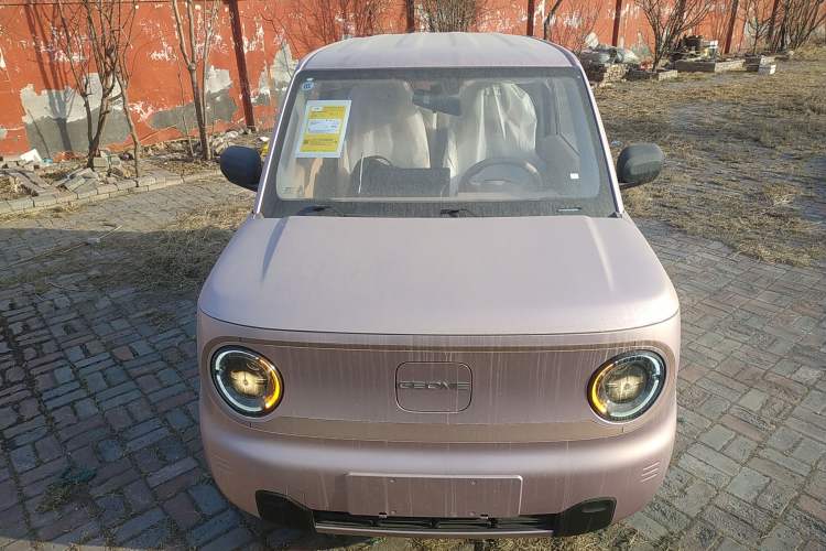 Used  Panda 2024 Panda Mini 200km Endurance Bear