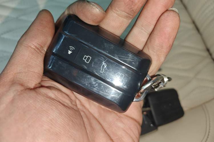 Used Tank 500 New Energy 2023 Hi4-T
