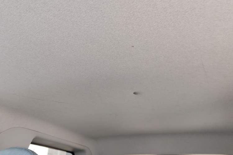 Used  Panda 2023 Panda Mini 200km Endurance Bear
