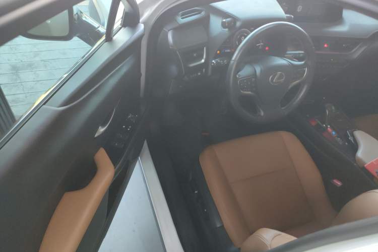 Used Lexus UX New Energy 2020 300e Pure·Joy Edition
