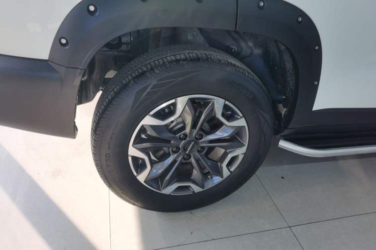 Used Haval DARGO 2024 2.0T DCT Chinese Rural Dog Edition