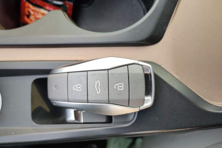 Used SOL E10X 2022 Flower Fairy Design Four-Leaf Clover
