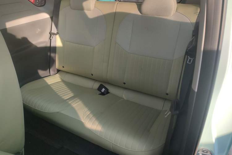 Used  Panda 2023 Panda Mini 200km Dynamic Bear