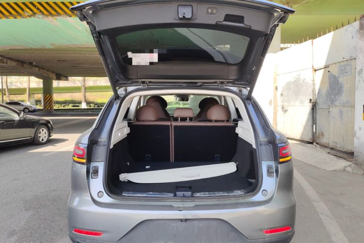 Used Leapmotor C11 2021 Performance Edition