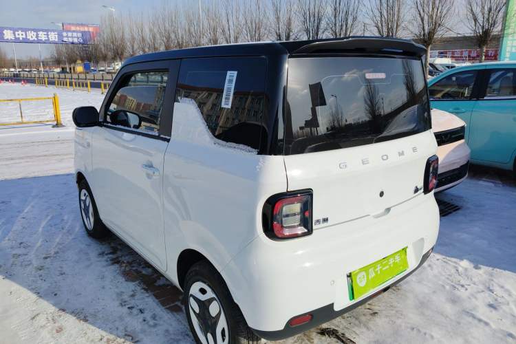 Used  Panda 2025 210 km – Yuanqi Bear