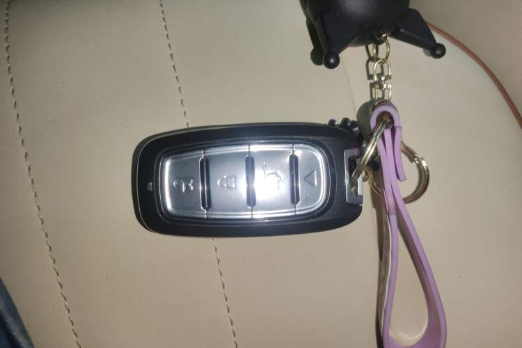 Used ORA Good Cat 2021 500km Long-Range Poseidon Edition Lithium-Ion Battery