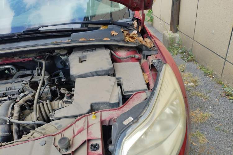 Used Ford Focus 2012 Hatchback 1.6L Manual Fashion Edition