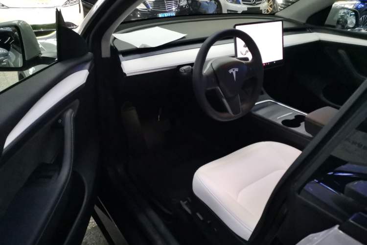 Used Tesla Model Y 2021 Standard Range Rear-Wheel Drive Version
