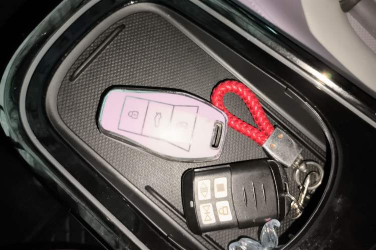 Used  3 2023 505km Pro
