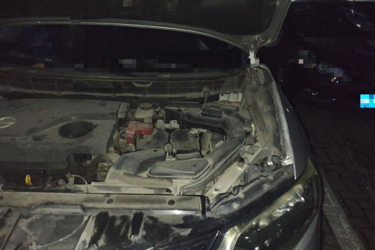 Used Nissan X-Trail 2014 2.0L CVT Comfort Edition 2WD
