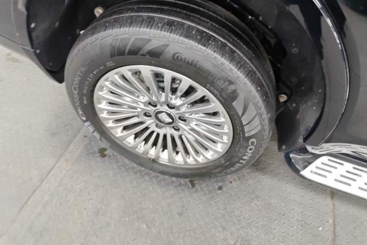 Used Tank 500 New Energy 2025 Hi4-Z
