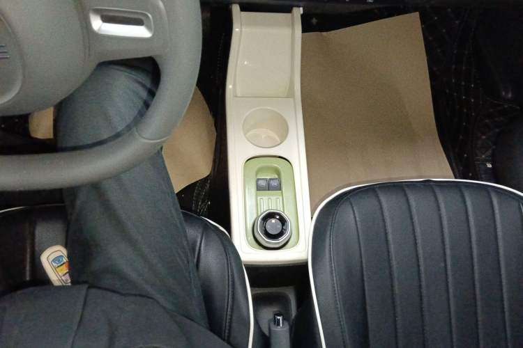 Used  Panda 2023 Panda Mini 200km Endurance Bear