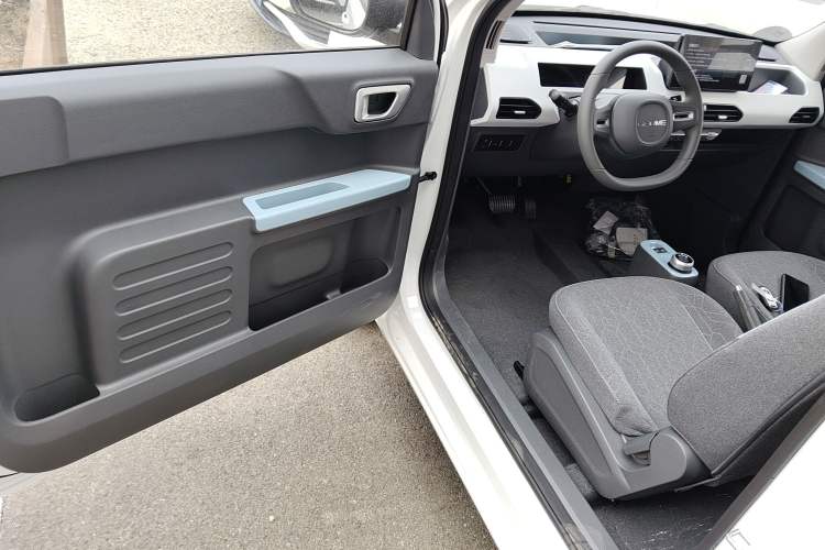 Used  Panda 2024 Panda Mini 200km Endurance Bear