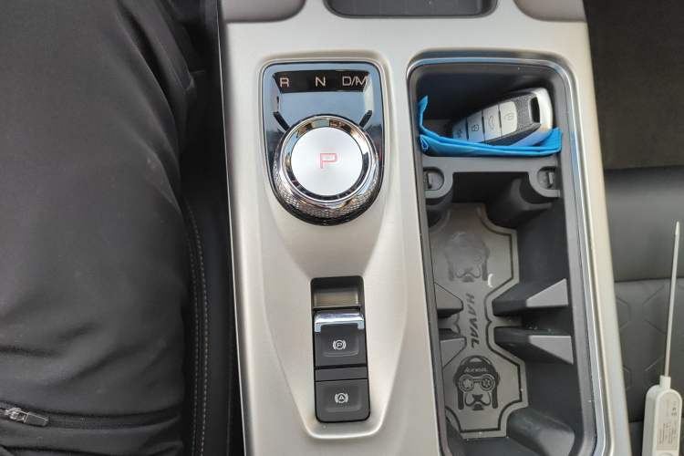 Used Haval DARGO 2024 2.0T DCT Chinese Rural Dog Edition