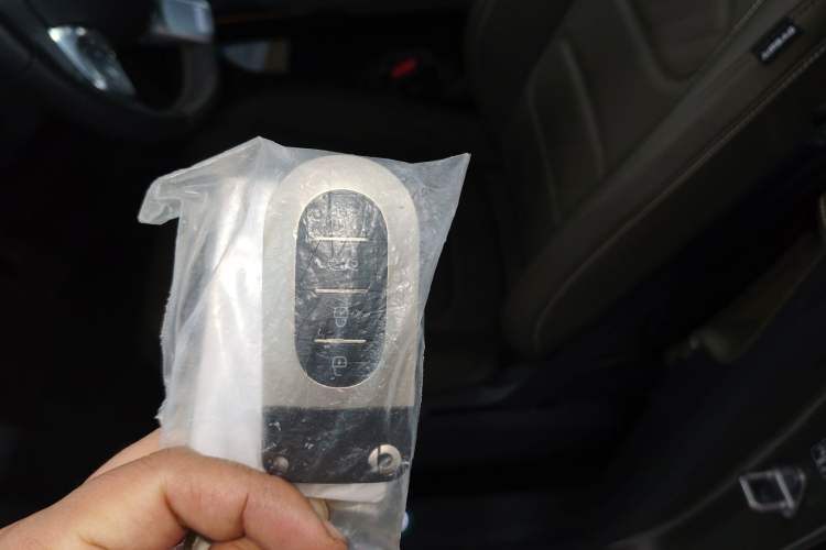 Used  #5 2024 Jungle Realm Limited Edition