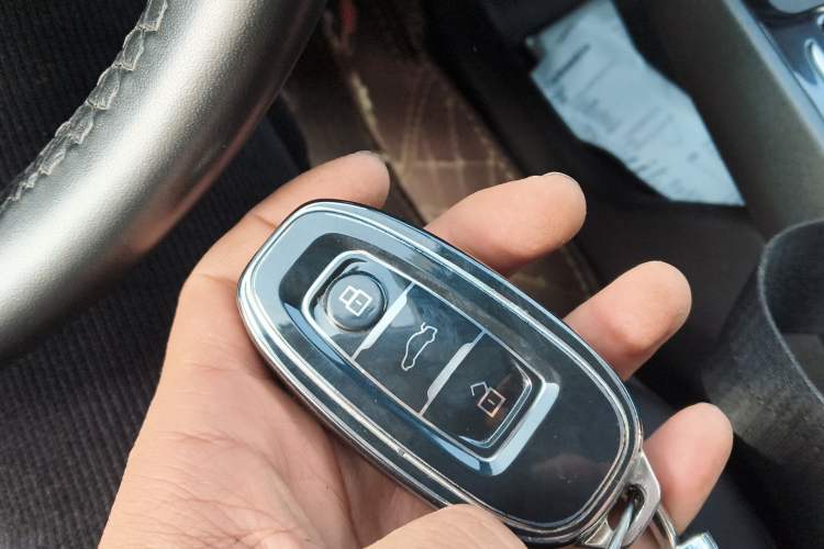 Used Hongqi E-QM5 2023 Revised Version Basic Travel Edition
