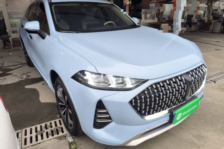 Used Wey Mocha 2021 2.0T Two-Wheel-Drive Ultra-Strong Version
