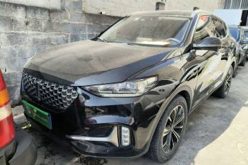 Used Wey VV6 2021 2.0T Two-Wheel Drive Smart Protection+