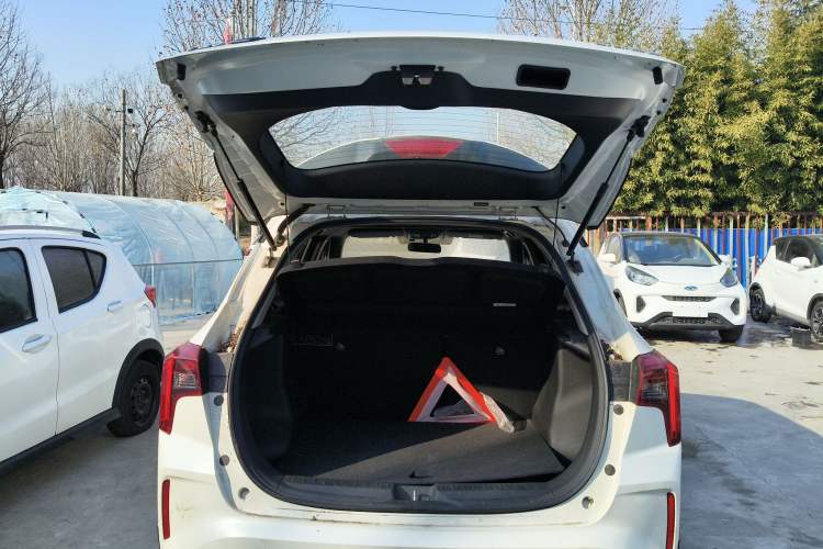 Used Venucia T60EV 2020 AI Enjoyment Model
