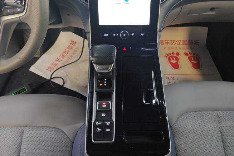 Used  ER6 2021 New Dynamic Edition 520km Smart Leading Version