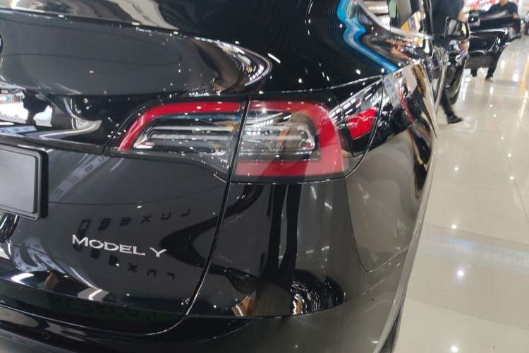 Used Tesla Model Y 2021 Standard Range Rear-Wheel Drive Version
