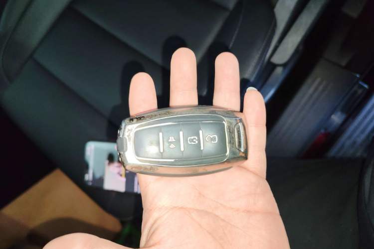 Used Great Wall Poer 2019 2.0T Commercial Version Manual Diesel 4x4 Elite Standard Box GW4D20M
