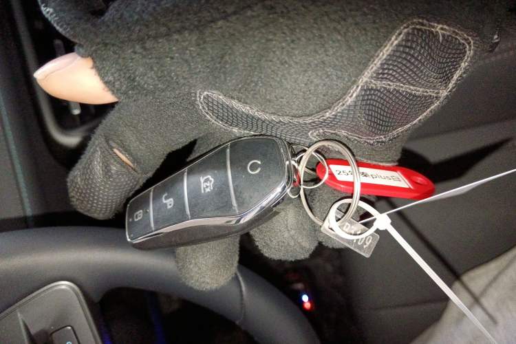 Used BYD Qin PLUS 2025 DM-i Smart Drive 55KM Leading Model