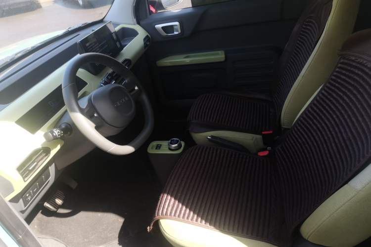 Used  Panda 2024 Panda Mini 200km Endurance Bear
