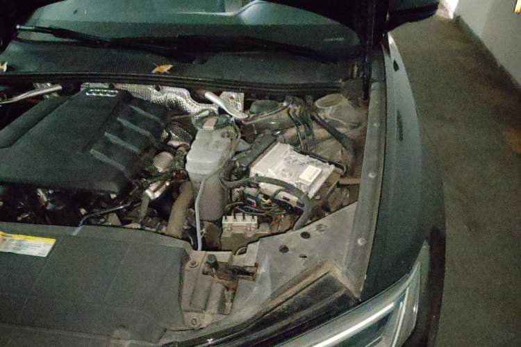 Used Audi A6L 2019 45 TFSI Prestige Dynamic Edition
