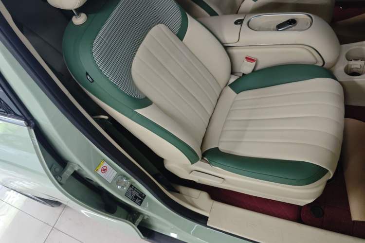 Used ORA Good Cat 2023 401 km Standard Range Luxury Version Lithium Iron Phosphate
