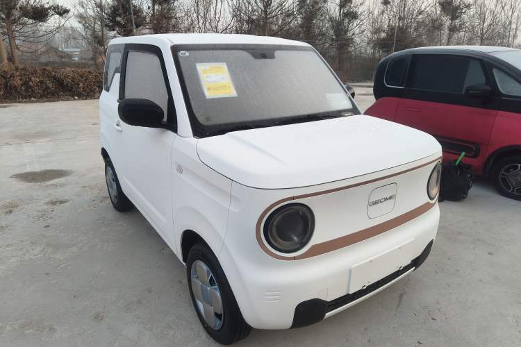 Used  Panda 2024 Panda Mini 200km Endurance Bear
