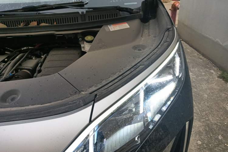 Used BYD Xia 2025 DM-i 1.5T 180km Excellence Model