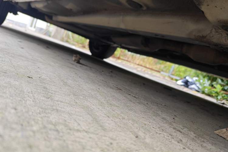 Used Toyota Corolla 2013 1.6L Manual Excellence Edition
