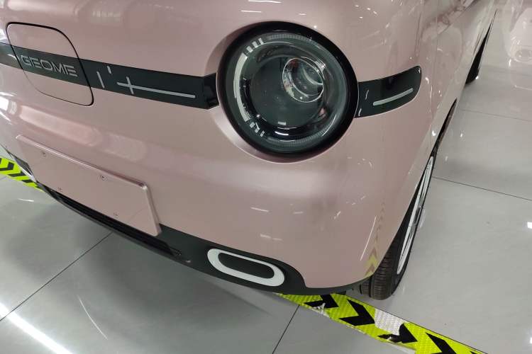 Used  Panda 2025 210 km – Yuanqi Bear
