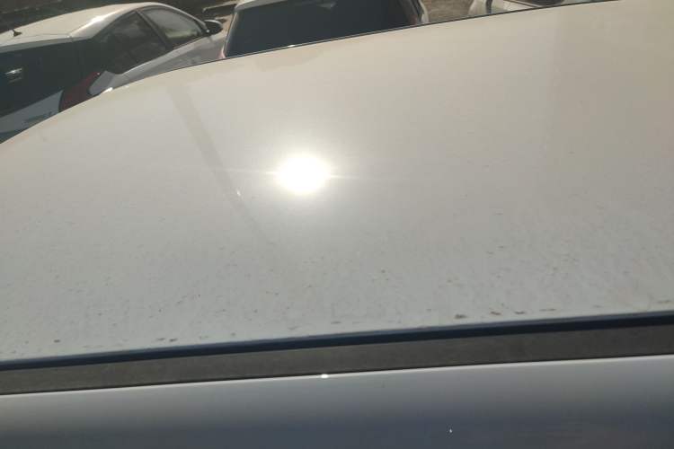 Used  Lumin 2024 130km Qingyue Version
