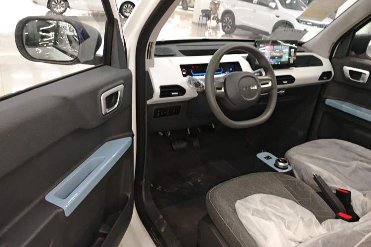 Used  Panda 2024 Panda Mini 200km Endurance Bear
