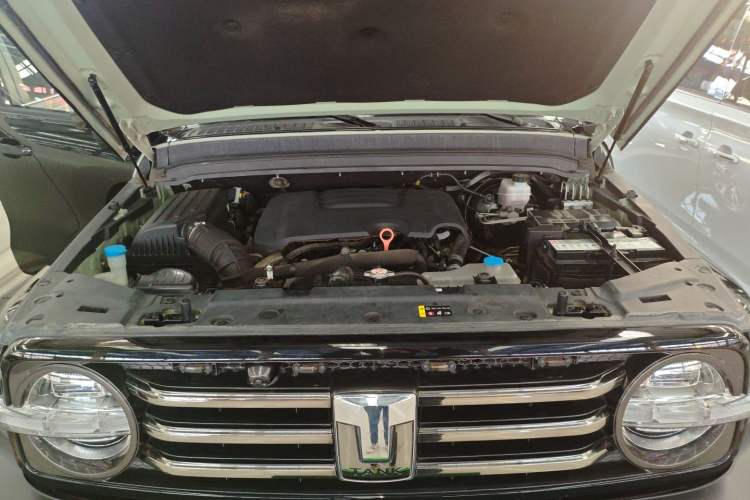 Used Tank 300 2021 City Edition 2.0T—Truly Stylish