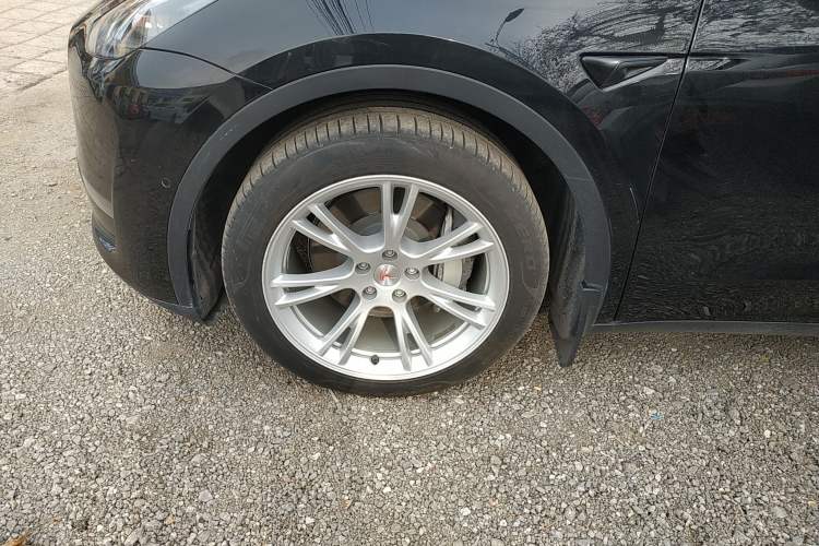 Used Tesla Model Y 2021 Standard Range Rear-Wheel Drive Version
