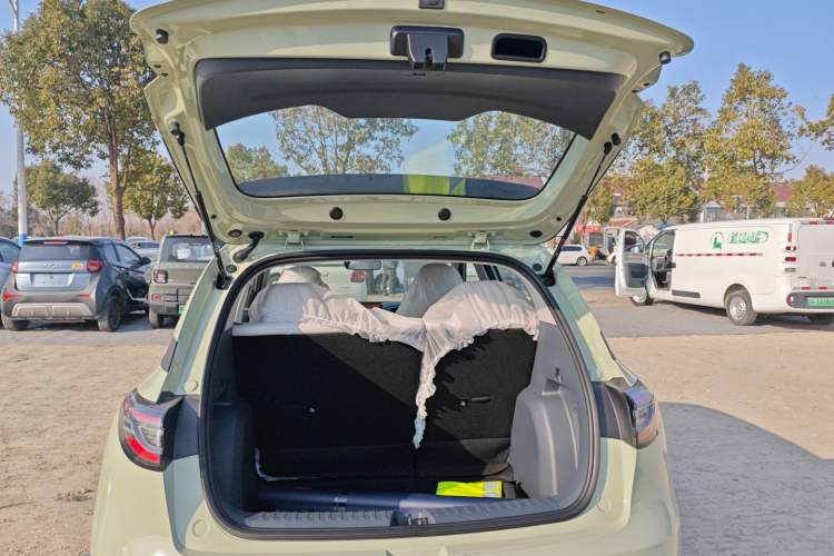 Used  Geome 2025 310km Youth Edition
