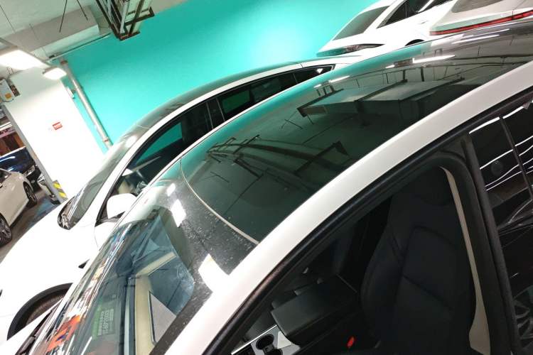 Used Tesla Model Y 2021 Standard Range Rear-Wheel Drive Version
