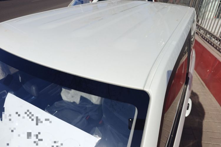 Used  Panda 2025 210 km – Yuanqi Bear